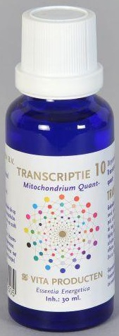 Vita Producten Transcriptie 10 Mitochodrium Quant-