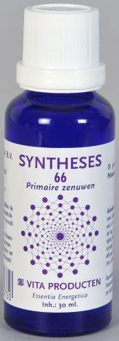 Vita Producten Syntheses 066 Primaire Zenuwen