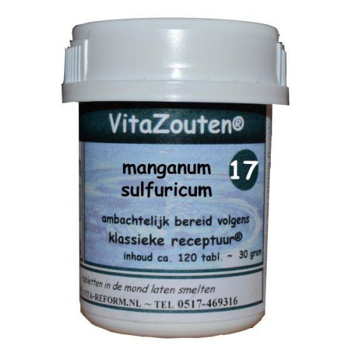 Vita Reform Vitazouten Manganum Sulfuricum Schussler 17