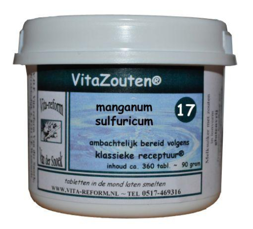 Vita Reform Vitazouten Manganum Sulfuricum Schussler 17