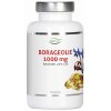 Nutrivian Borage Olie 1000 mg