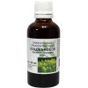 50 ml De Cruydhof / Natura Sanat Solidago Virgaurea hrb / Guldenroede Tinctuur