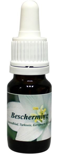 10 ml Star Remedies Bescherming