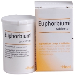 250 Tabletten Heel Euphorbium Tabletten