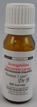 DNH Research Strongyloides Stercoralis Larvae