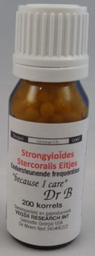 DNH Research Strongyloides Stercoralis Eitjes