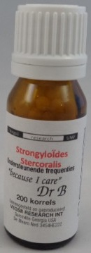 DNH Research Strongyloides Stercoralis