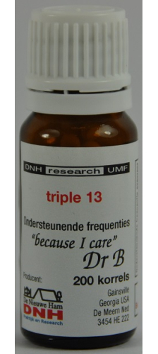 200 grains DNH Research Triple 13