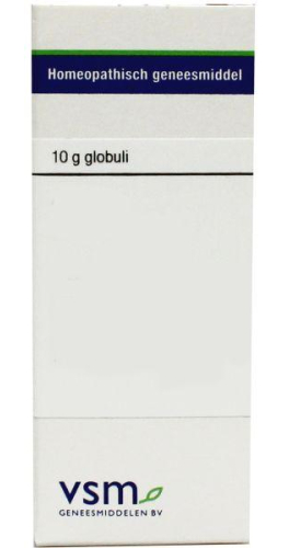 VSM Enkelvoudige Homeopathie Berberis Vulgaris D4 10 gram globuli