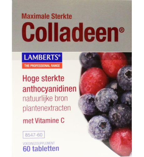 60 tabletten Lamberts Colladeen Maximale Sterkte
