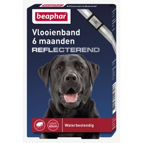 Beaphar Vlooienband Hond Reflecterend 1 Stuck