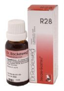22 ml Reckeweg Secale Gastreu