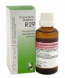 22 ml Reckeweg Theridion Gastreu