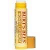 Burts Bees Lipbalm Honey