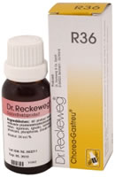 22 ml Reckeweg Chorea Gastreu R36