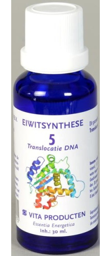 Vita Producten Eiwitsynthese 05 Translocatie DNA