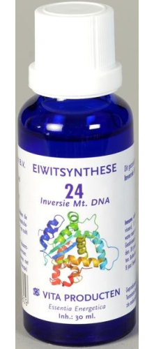 Vita Producten Eiwitsynthese 24 Inversie Mt. DNA