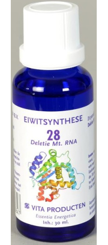 Vita Producten Eiwitsynthese 28 Deletie Mt. RNA