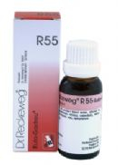 22 ml Reckeweg Ruta Gastreu