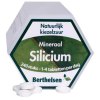 Berthelsen Silicium Complex