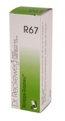 22 ml Reckeweg Kollaps Gastreu