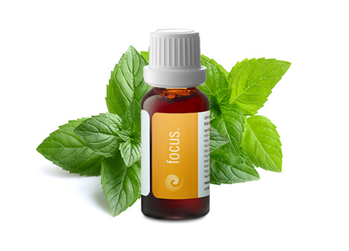 Go4Balance Focus Kruidendruppels 10 ml