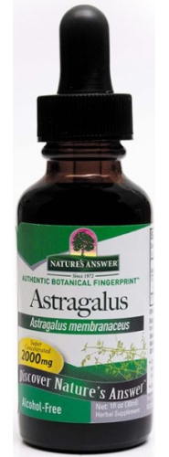 30 Ml Natures Answer Astragalus Vlezige Hokjespeul