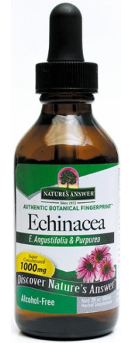 60 Ml Natures Answer Echinacea Zonnehoed