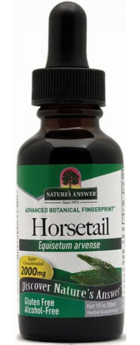 30 Ml Natures Answer Horsetail Heermoes