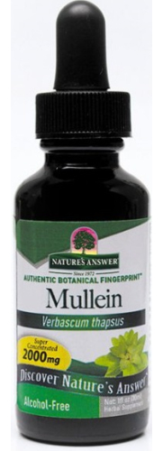 30 Ml Natures Answer Mullein Koningskaars