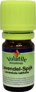 Volatile Leeuw 5 Ml