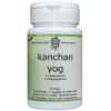 60 tabletten Surya Kanchan Yog