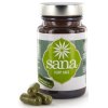 Sana Hemp Hemp Juice Powder CBD A