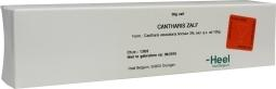 50 Gramm Homeoden Heel Cantharis ZalfCreme