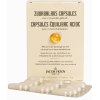 60 capsules Jacob Hooy Zuurbalans Capsules