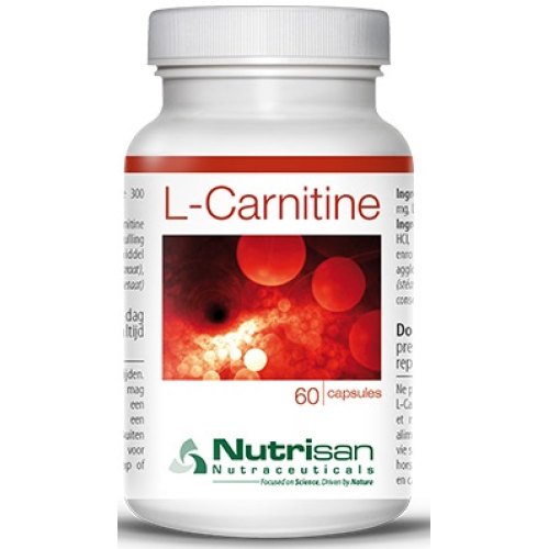 nutrakey l carnitine 3000 reviews l carnitine for exercise NutraKey Health Acetyl L-Carnitine nutrakey l carnitine 3000 reviews l carnitine for exercise NutraKey Health Acetyl L-Carnitine