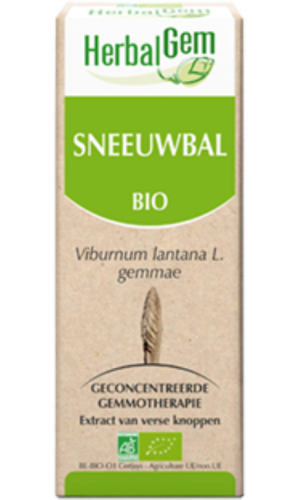 Herbalgem Sneeuwbal - Viburnum Lantana Gemmae Biologisch 50 ml
