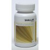 120 tabletten Ayurveda Health Shallak (Boswellia Serrata)