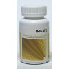 90 tabletten Ayurveda Health Trikatu