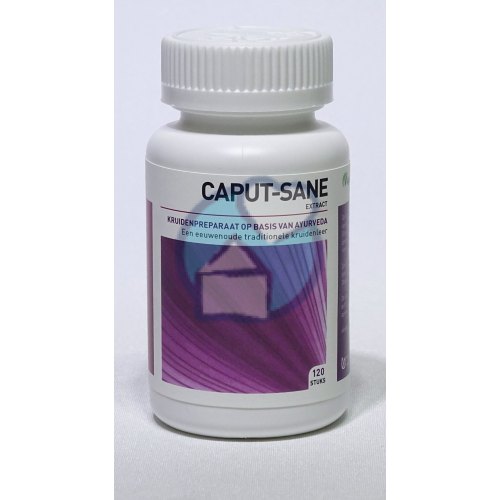 120 tabletten Ayurveda Health Caput-Sane