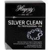 170 ml Hagerty Silver Clean
