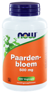 NOW Paardenbloem 500 mg 100 Kapseln