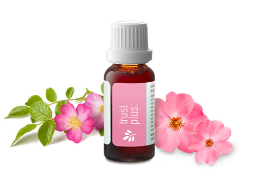 Go4Balance Trust Plus Kruidendruppels