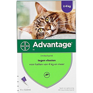 Advantage Kat 80 tegen Vlooien > 4 kg 4 Stücke