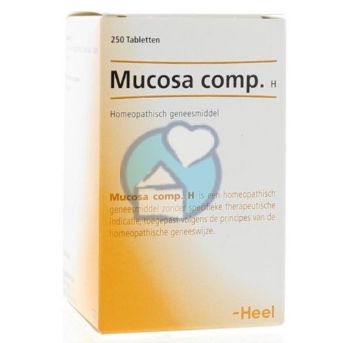250 Tabletten Heel Mucosa Comp.