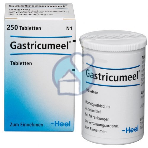 250 Tabletten Heel Gastricumeel