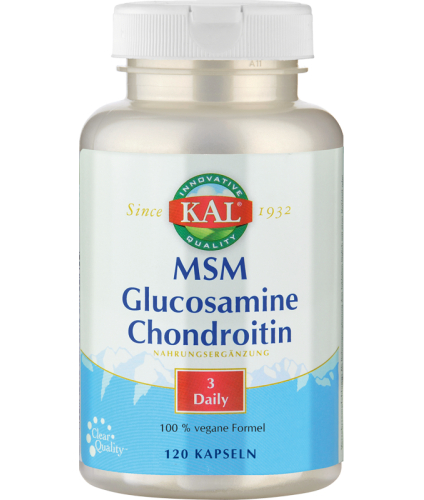 MSM Glucosamine Chondroitin Vegan KAL 120 capsules kopen Gezondheid