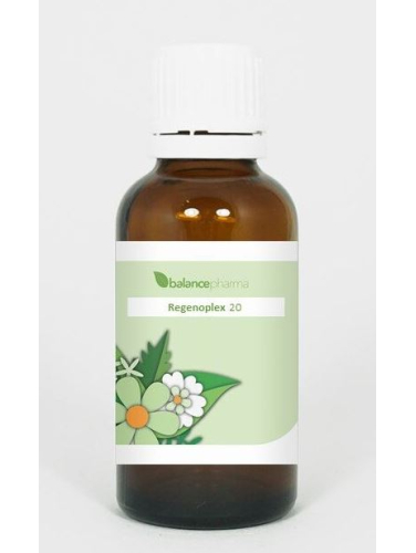 30 ml BalancePharma Regenoplex 20 Zenuwstelsel