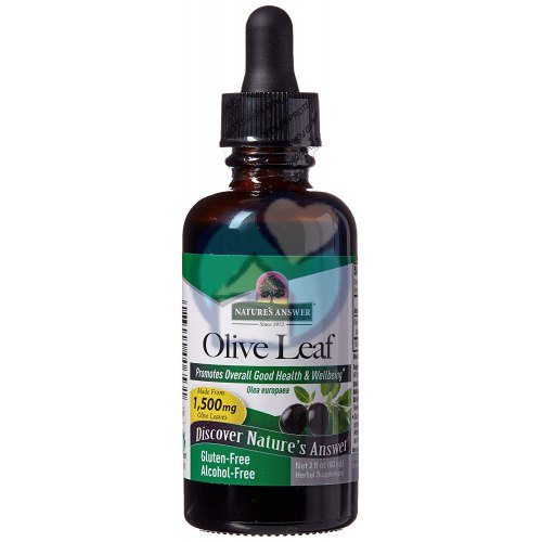 60 Ml Natures Answer Olive Leaf Olijfblad
