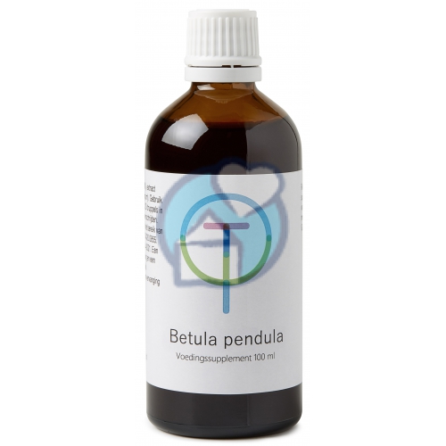 100 ml Therapeutenwinkel Betula Pendula - Ruwe Berk